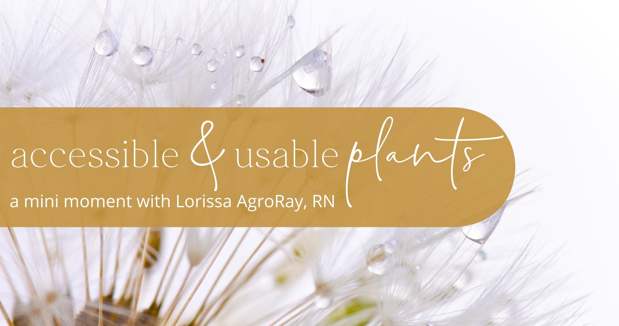 What Plants Are Accessible & Usable by the Average Person