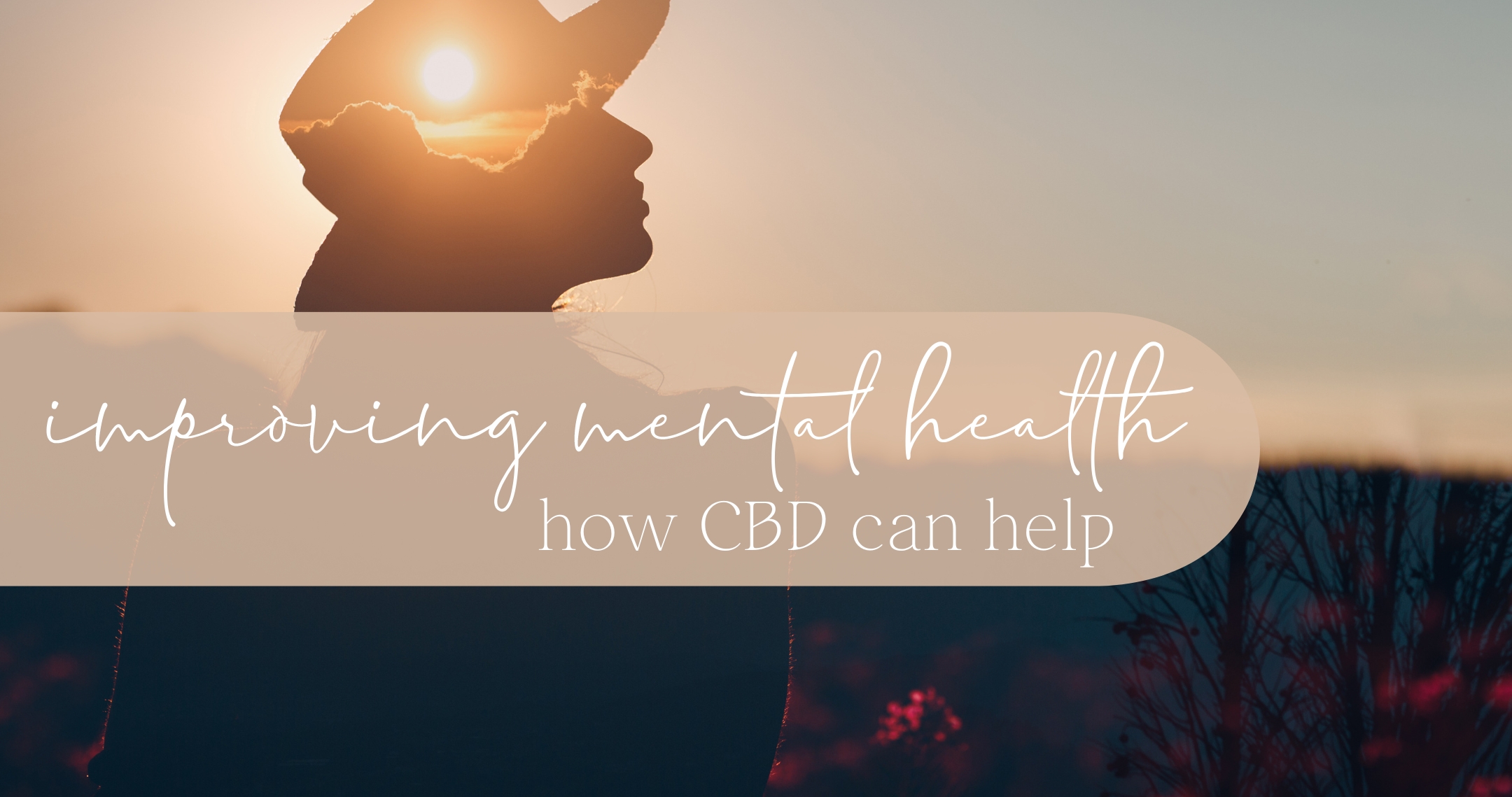 How CBD Can Help Improve Mental Health