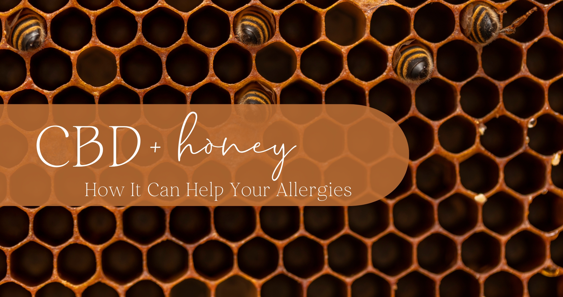 How Adding CBD to Your Honey Can Help Your Allergies